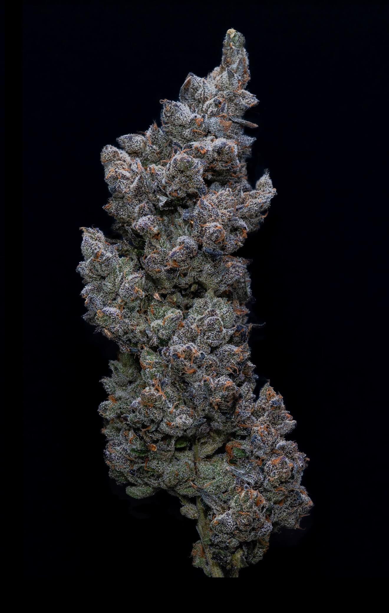 Apples & Bananas flower